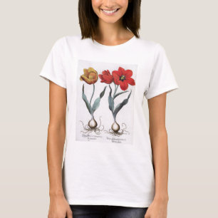 T-shirt Tulipes : 1.Tulipa globosa serotina cinnabrio colo