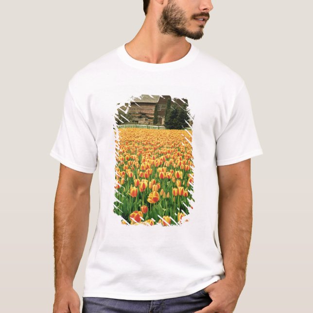 T-shirt Tulipes de printemps en fleurs devant une vieille  (Devant)