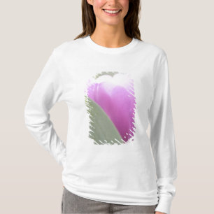 T-shirt Tulipes, Jardins de Keukenhoff, Pays-Bas. 2