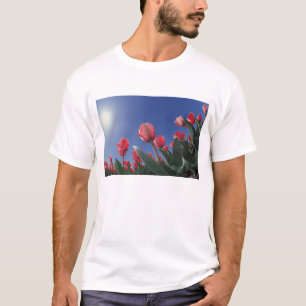 T-shirt Tulipes rouges sous un angle très bas, Cincinnati,