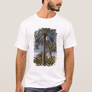 T-shirt Tunisie, région des Ksour, Ksar Ghilane, palmier d