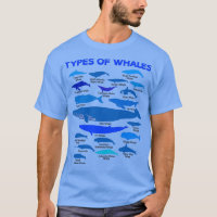 Types de baleines Cétacés de baleine Léviathan Esp