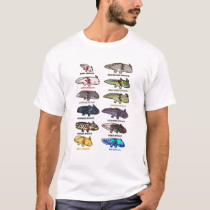 T-shirt Types De Couleurs Axolotl Et Morphs Garçons Filles