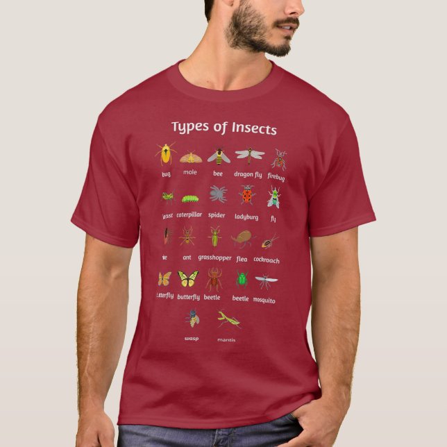 T-shirt Types D'Insectes Entomologie Insectes Bugs (Devant)
