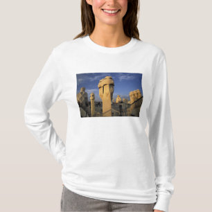 T-shirt UE, Espagne, Catalogne, Barcelone. Antonio Gaudi's