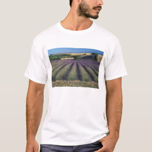 T-shirt UE, France, Provence, champs de lavande 2
