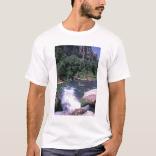 T-shirt UE, France, Provence, Fontaine de Vaucluse