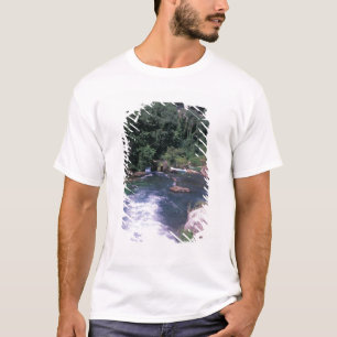 T-shirt UE, France, Provence, Fontaine de Vaucluse