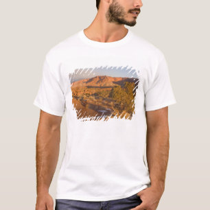 T-shirt Un arbre de genévrier de l'Utah (Juniperus osteosp