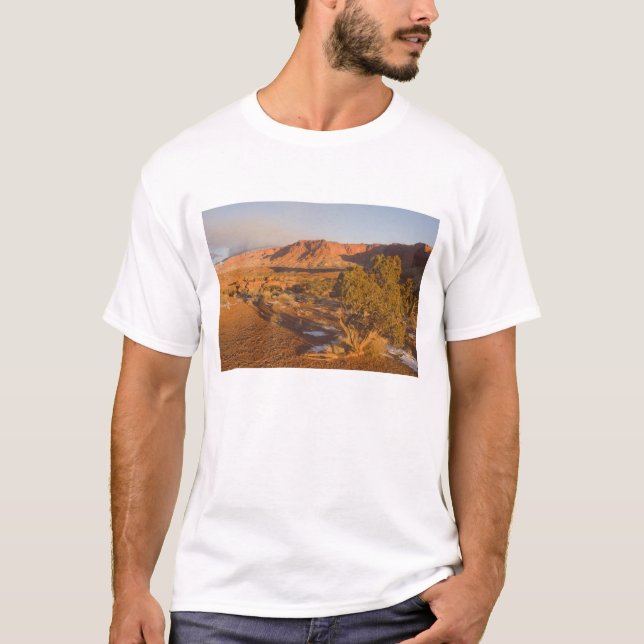 T-shirt Un arbre de genévrier de l'Utah Juniperus osteospe (Devant)