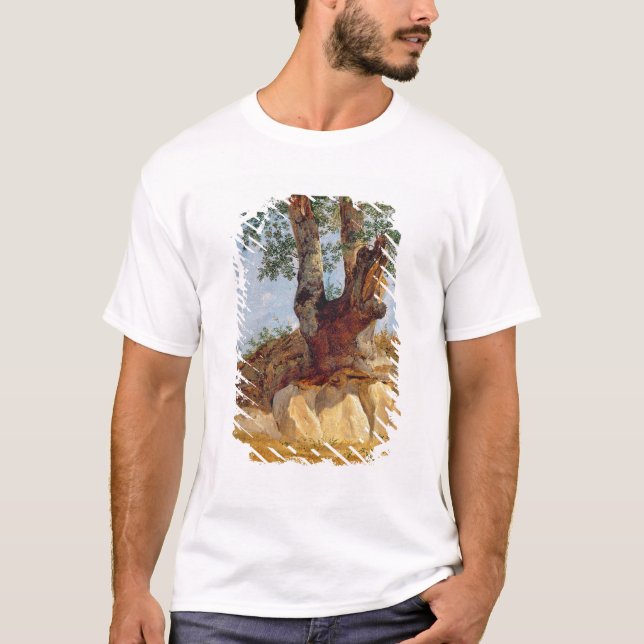 T-shirt Un arbre en Campanie, 1822-23 (Devant)