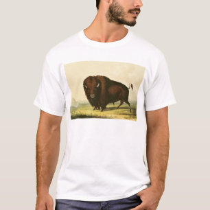 T-shirt Un bison, c.1832