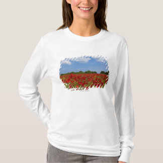 T-shirt Un champ complètement des fleurs rouges