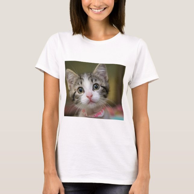 T-shirt Un chaton mignon avec des yeux verts (Devant)