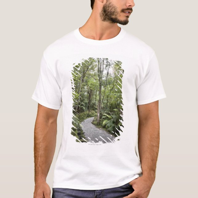 T-shirt Un chemin à travers une forêt tropicale à la base (Devant)