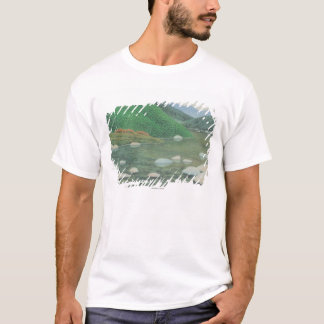 T-shirt Un coin silencieux dans Moutains