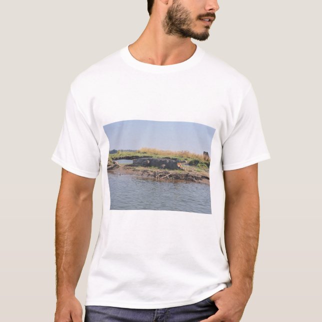 T-shirt Un Crocodile Se Refroidissant Près Du Fleuve Zambe (Devant)