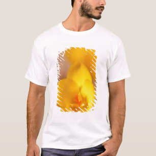 T-shirt Un crocus jaune fleurit à Portsmouth, Nouveau