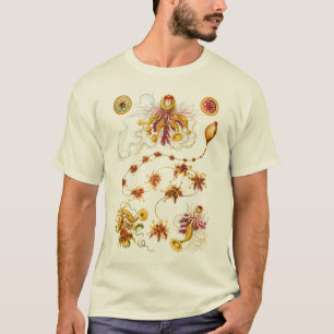 T-shirt Un hydrozoaire - Siphonophores