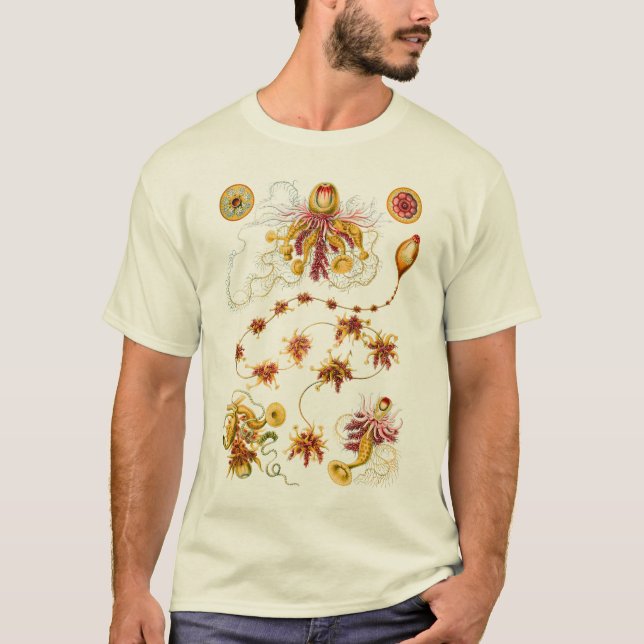 T-shirt Un hydrozoaire - Siphonophores (Devant)