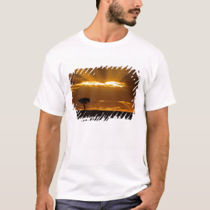 T-shirt Un lever de soleil bouche ouverte dans le Maasai M