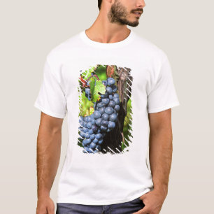 T-shirt Un lot de raisins mûrs merlot sur une vigne avec