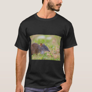 T-shirt Un mignon bandicoot Crash en train de fourrager