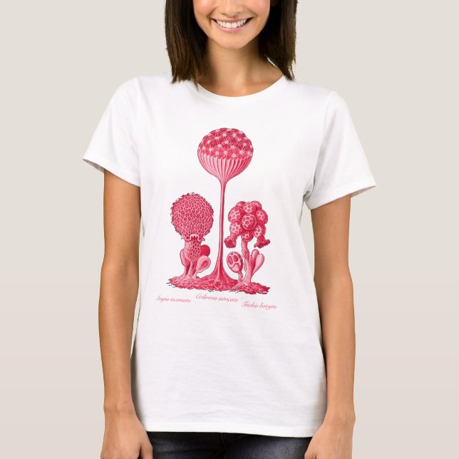 T-shirt Un moule de boue (Devant)