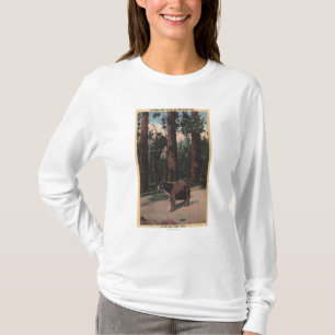 T-shirt Un ours Brown dans les bois