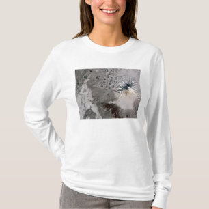 T-shirt Un panache riche en cendres monte