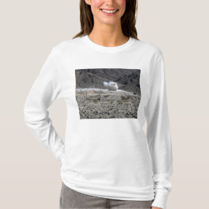 T-shirt Un tour d'un lanceur de fusée AT-4