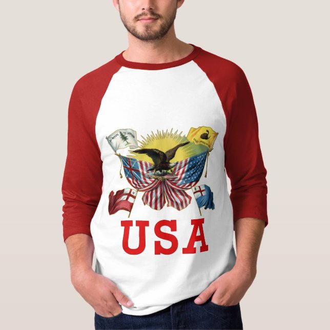 T-shirt Une histoire des drapeaux américains sur un (Devant)