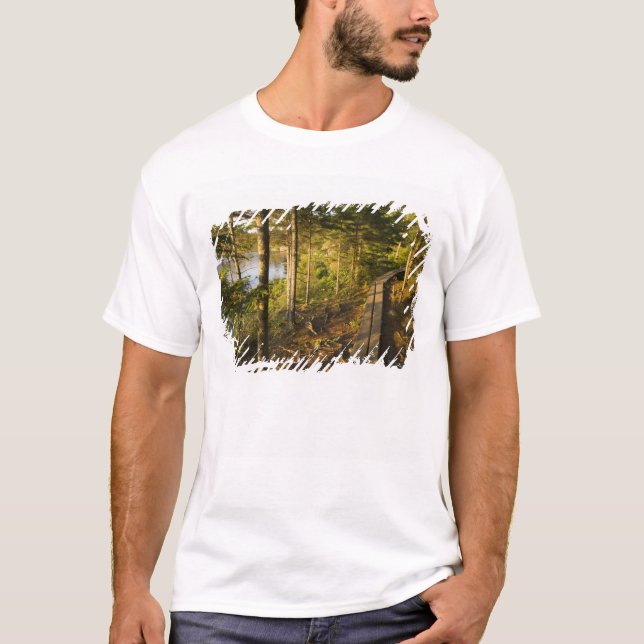 T-shirt Une promenade en bois dans le parc national Acadia (Devant)