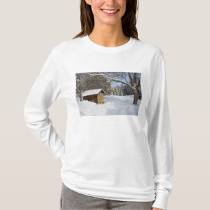 T-shirt Une scène enneigée à l'étang Little Lyford de l'AM
