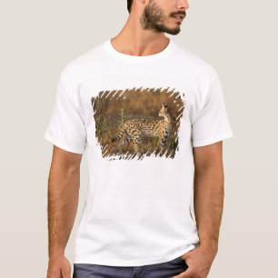 T-shirt Upper Mara, Masai Mara Game Reserve, Kenya,