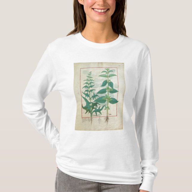 T-shirt Urticaceae (Devant)