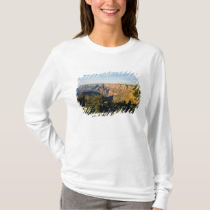 T-shirt USA, Arizona, Grand Canyon National Park, View