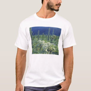 T-shirt USA, Arizona, Organ Pipe Cactus National
