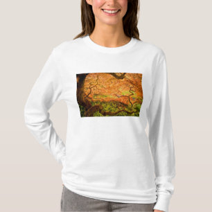 T-shirt USA, Delaware, Wilmington. Érable japonais