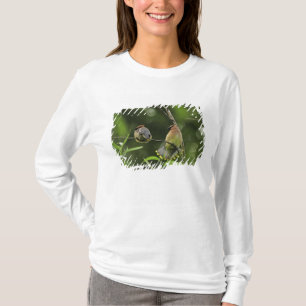 T-shirt USA, Oregon, Portland. Jaseur d'Amérique mâle