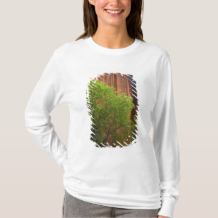 T-shirt USA, Utah, Paria Canyon - Vermillions Cliffs