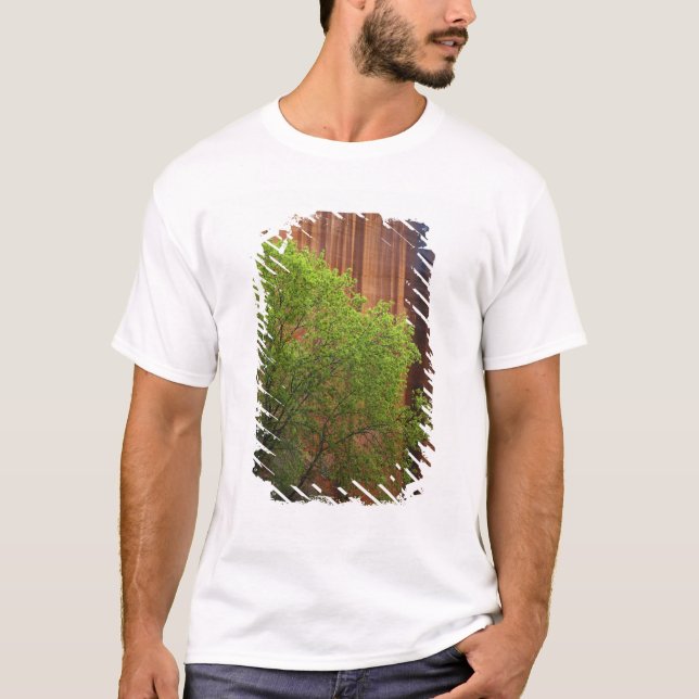 T-shirt USA, Utah, Paria Canyon - Vermillions Cliffs (Devant)
