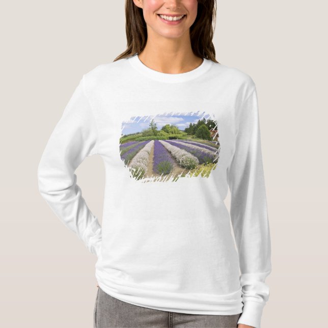 T-shirt USA, WA, Sequim, Purple Haze Lavender Farm (Devant)