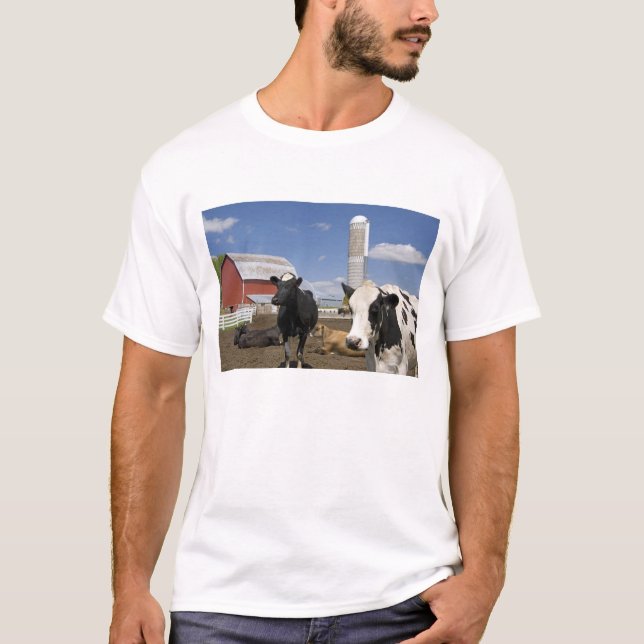 T-shirt Vaches devant une grange rouge et un silo dans une (Devant)