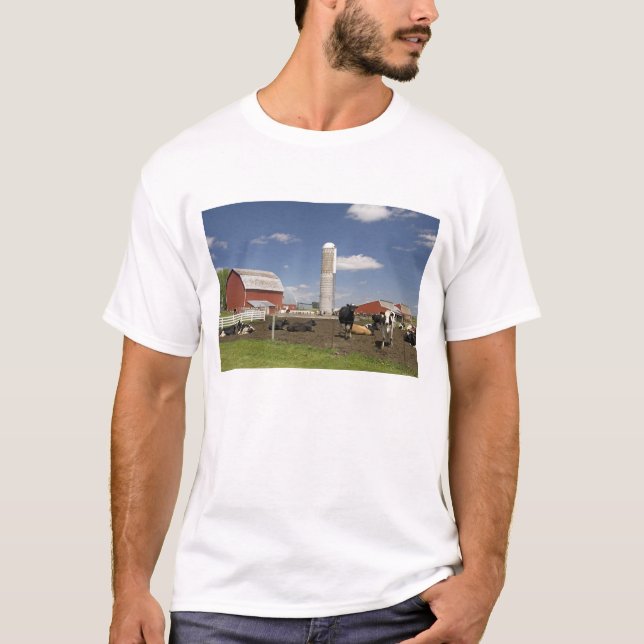 T-shirt Vaches devant une grange rouge et un silo dans une (Devant)