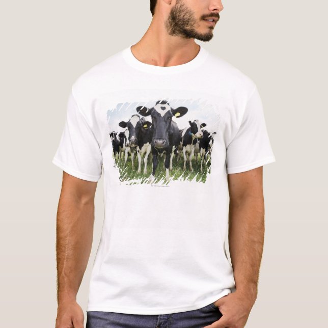 T-shirt Vaches se tenant dans une rangée regardant (Devant)