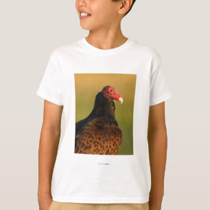T-shirt Vautour