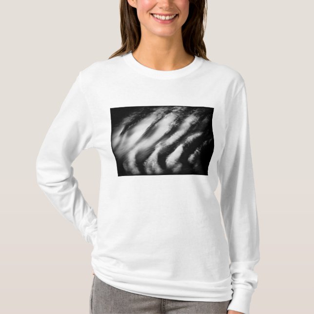 T-shirt vautours tombé (Devant)