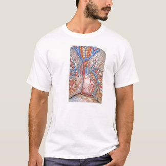 T-shirt Veines du Coeur