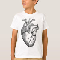 Véritable dessin du coeur humain anatomique